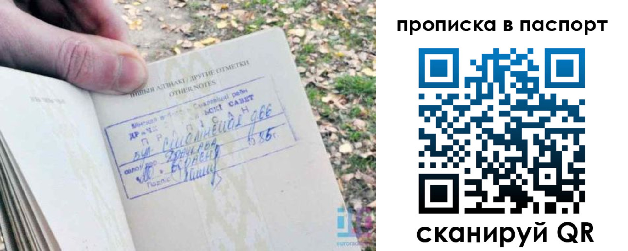 временная регистрация собственник в Сафоново